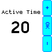 Set Active Time